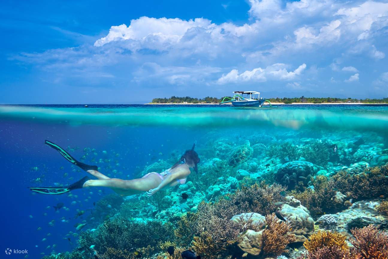 Discover the best underwater activities and private tour to Gili Trawangan, Gili Meno, and Gili Air on Lombok Island. Experience snorkeling in crystal-clear waters and taste delicious foods in cafes and restaurants around the island.