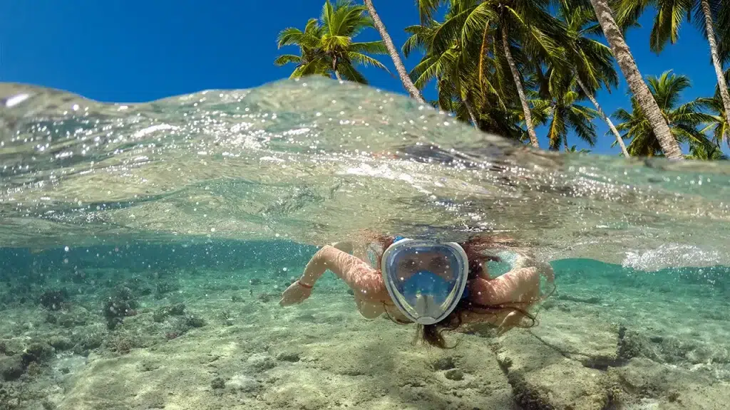 Discover the best one day trip and private tour to Gili Trawangan, Gili Meno, and Gili Air on Lombok Island. Experience snorkeling in crystal-clear waters and taste delicious foods in cafes and restaurants around the island.
